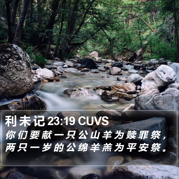 利 未 记 23:19 CUVS Bible Study