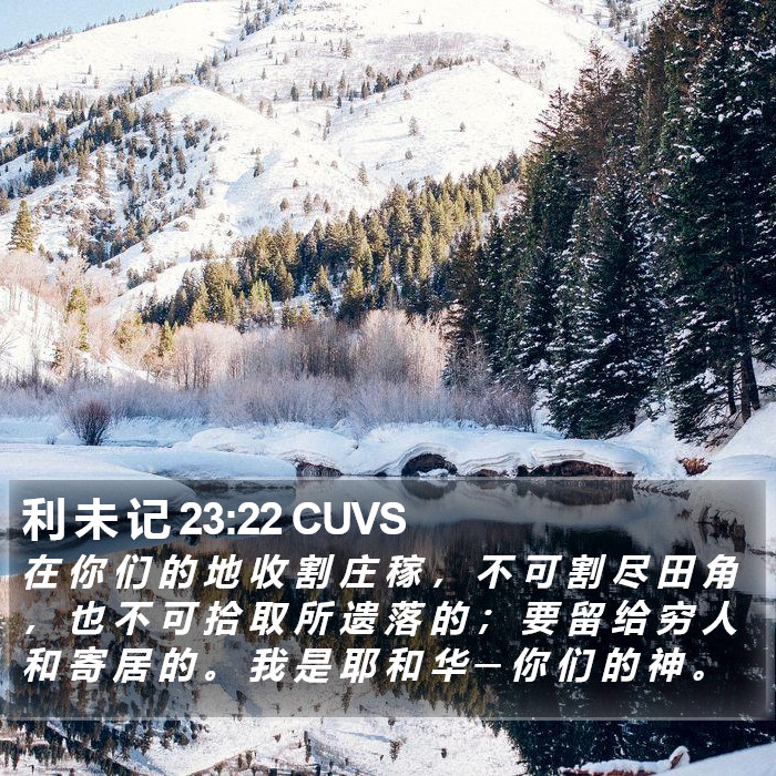 利 未 记 23:22 CUVS Bible Study