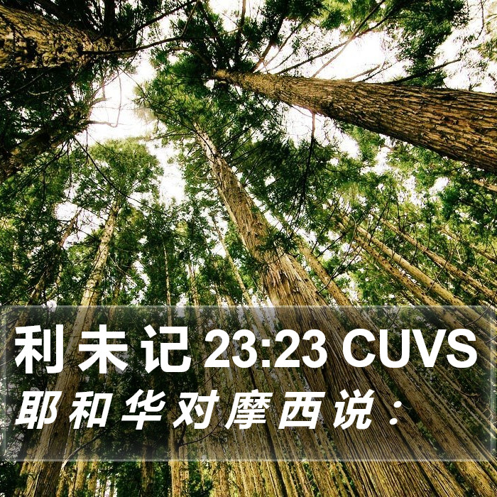 利 未 记 23:23 CUVS Bible Study