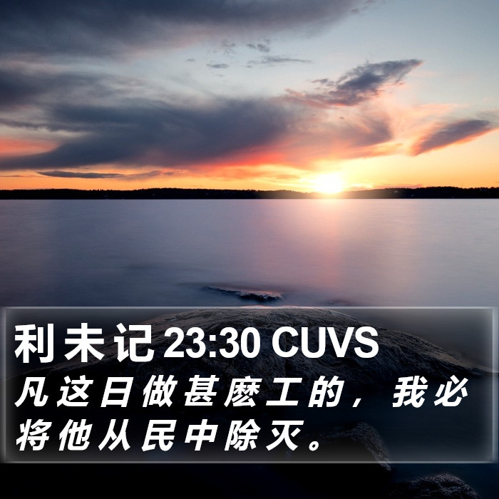 利 未 记 23:30 CUVS Bible Study
