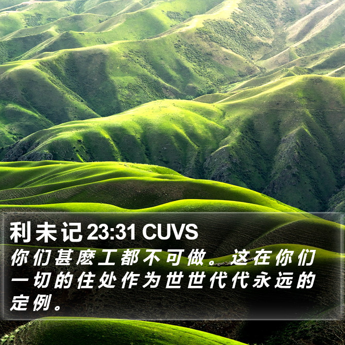 利 未 记 23:31 CUVS Bible Study