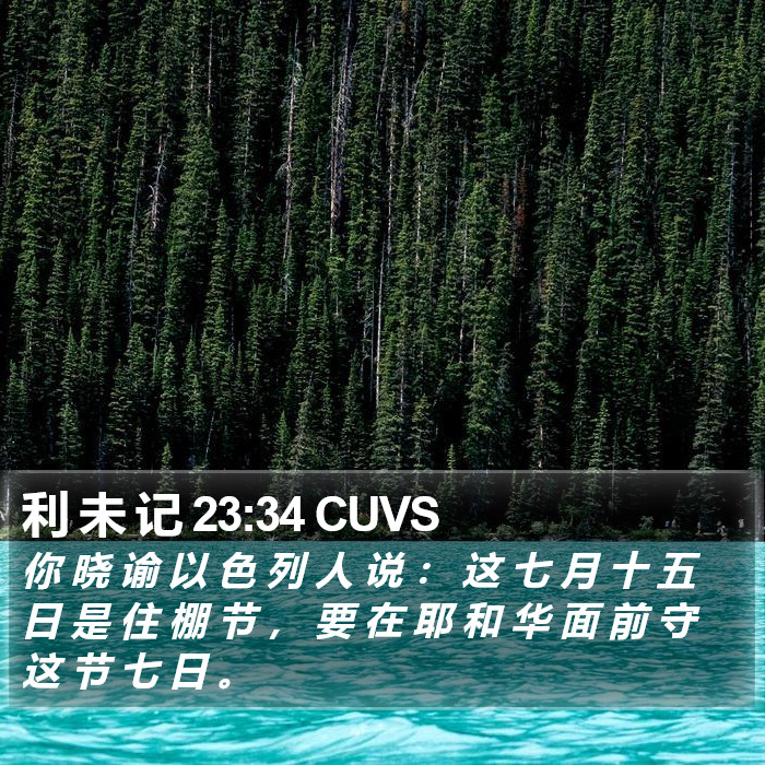 利 未 记 23:34 CUVS Bible Study
