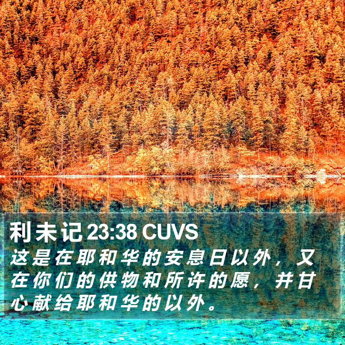 利 未 记 23:38 CUVS Bible Study