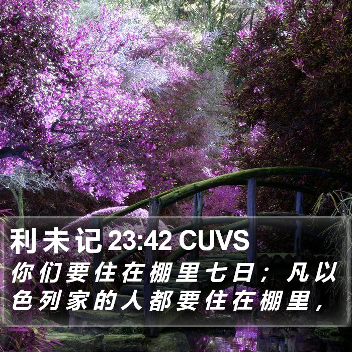 利 未 记 23:42 CUVS Bible Study