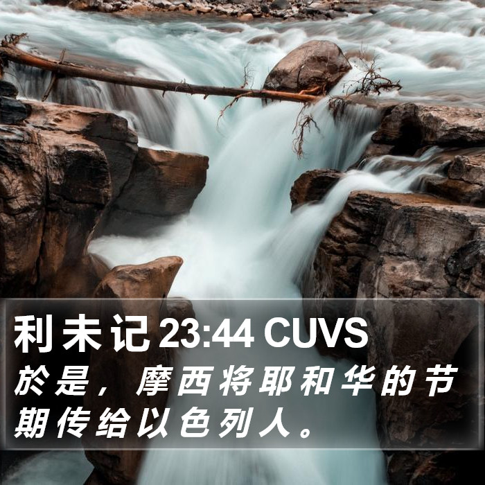 利 未 记 23:44 CUVS Bible Study