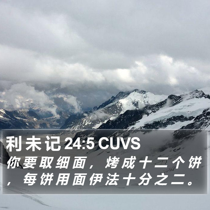 利 未 记 24:5 CUVS Bible Study