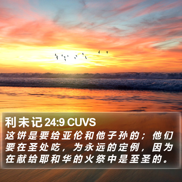 利 未 记 24:9 CUVS Bible Study