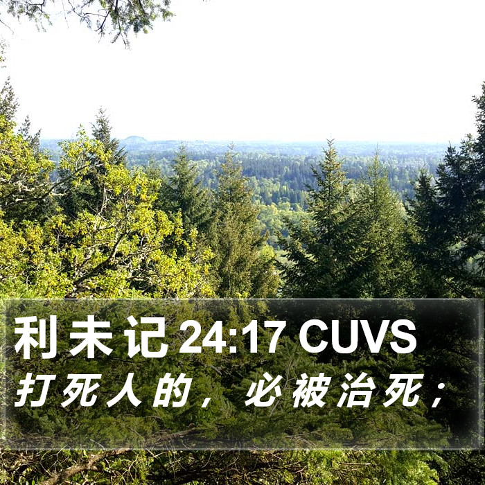 利 未 记 24:17 CUVS Bible Study