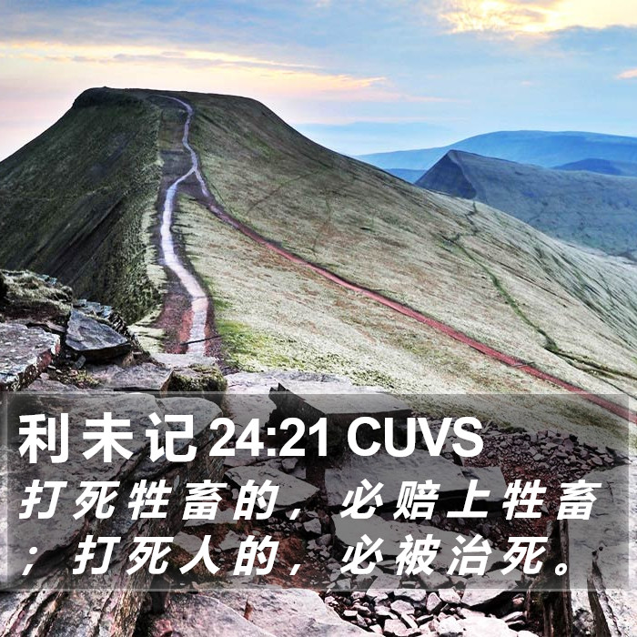 利 未 记 24:21 CUVS Bible Study
