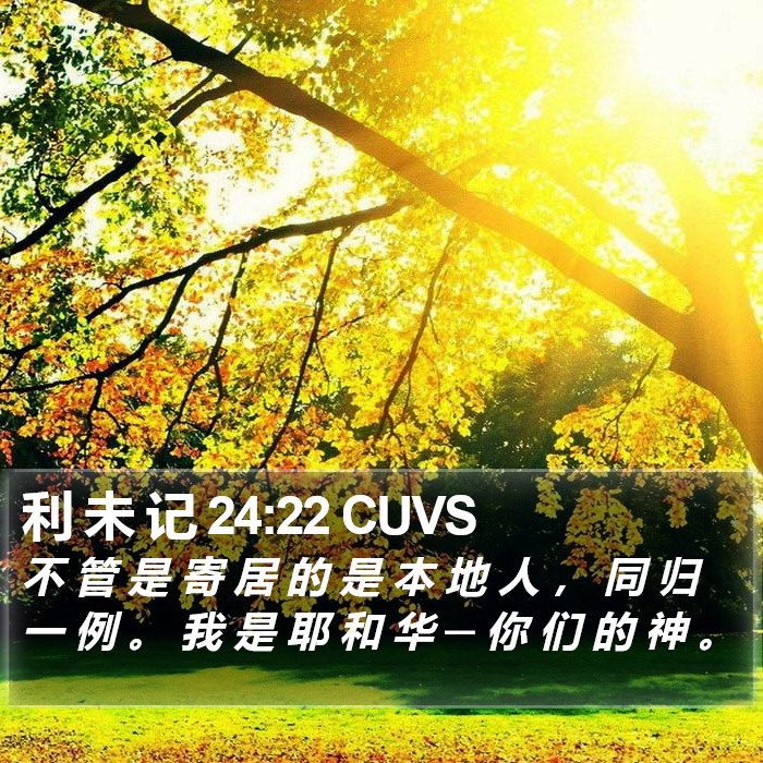 利 未 记 24:22 CUVS Bible Study