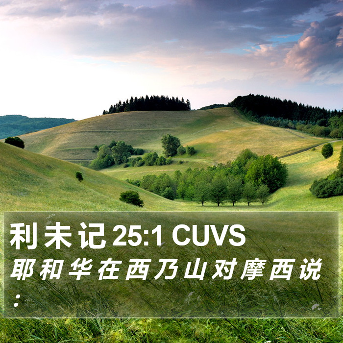 利 未 记 25:1 CUVS Bible Study