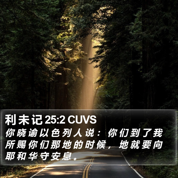 利 未 记 25:2 CUVS Bible Study