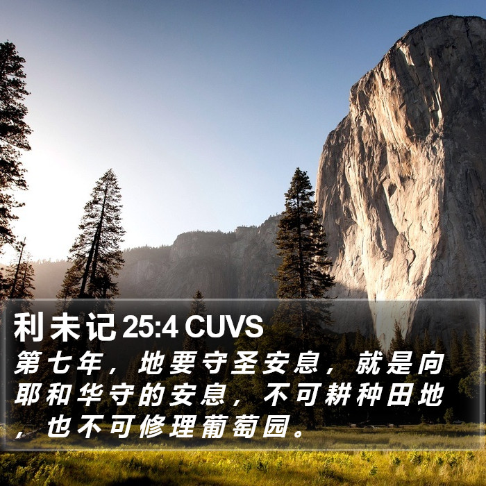 利 未 记 25:4 CUVS Bible Study