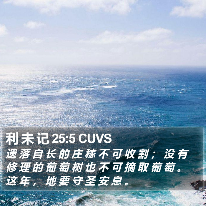 利 未 记 25:5 CUVS Bible Study