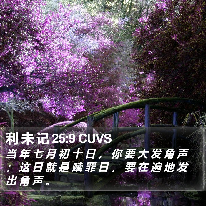 利 未 记 25:9 CUVS Bible Study