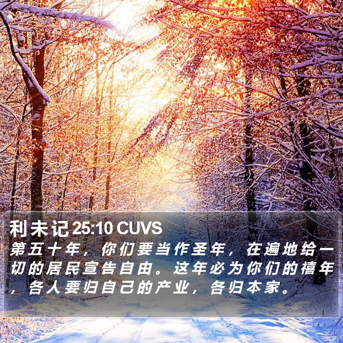 利 未 记 25:10 CUVS Bible Study