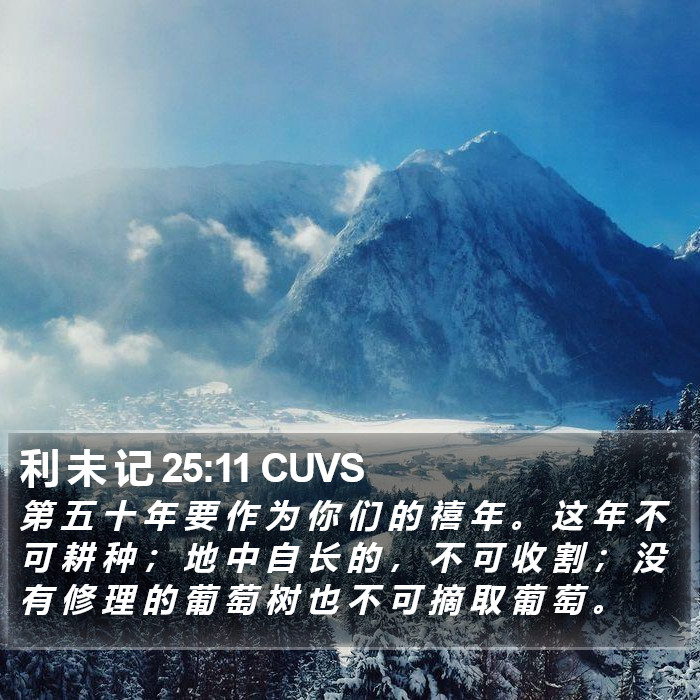 利 未 记 25:11 CUVS Bible Study
