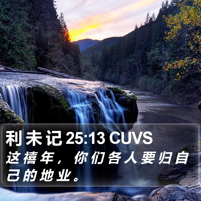 利 未 记 25:13 CUVS Bible Study