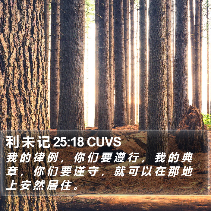 利 未 记 25:18 CUVS Bible Study