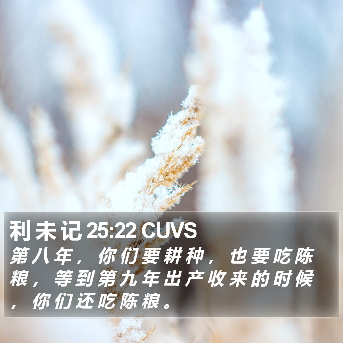 利 未 记 25:22 CUVS Bible Study