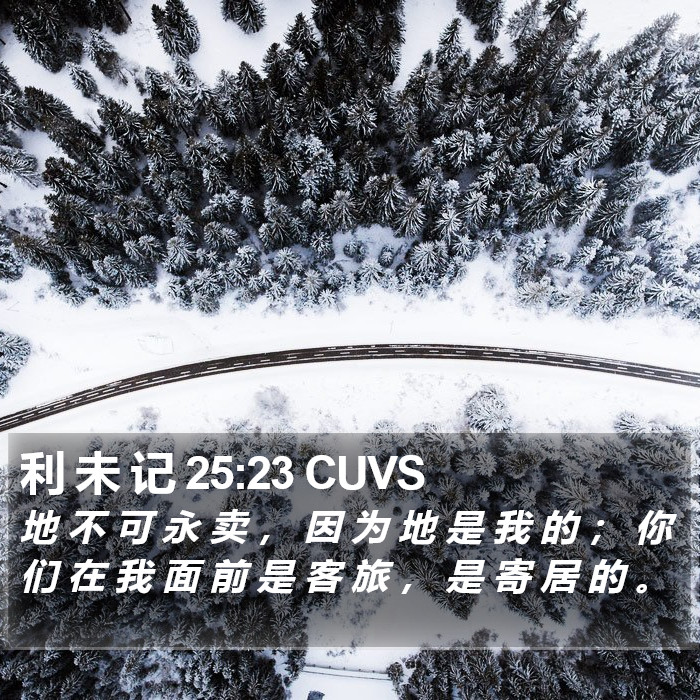 利 未 记 25:23 CUVS Bible Study