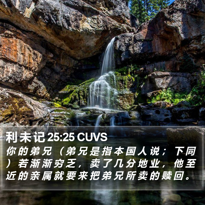 利 未 记 25:25 CUVS Bible Study