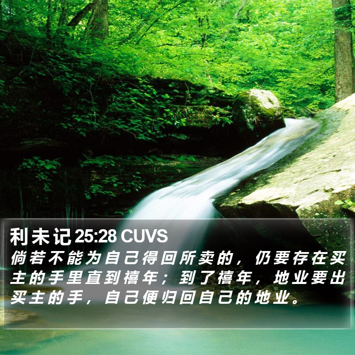 利 未 记 25:28 CUVS Bible Study