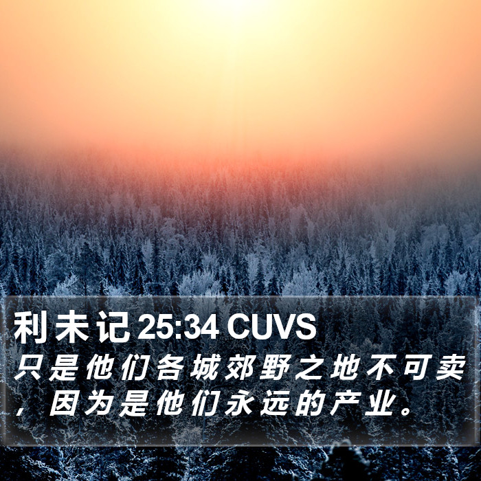 利 未 记 25:34 CUVS Bible Study