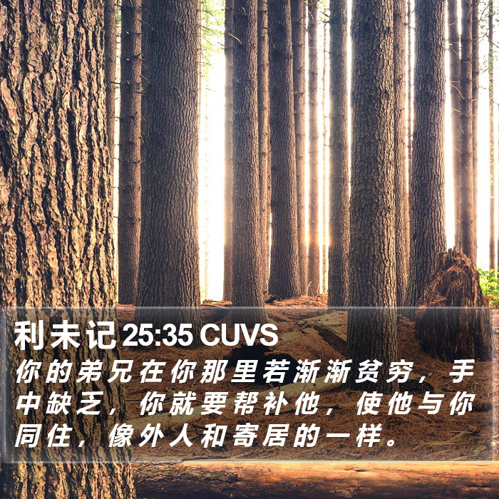 利 未 记 25:35 CUVS Bible Study
