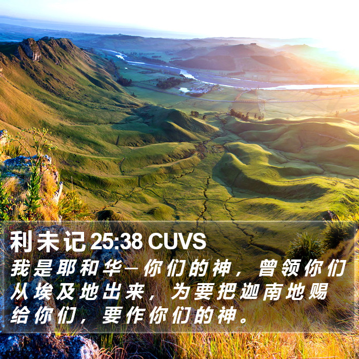 利 未 记 25:38 CUVS Bible Study