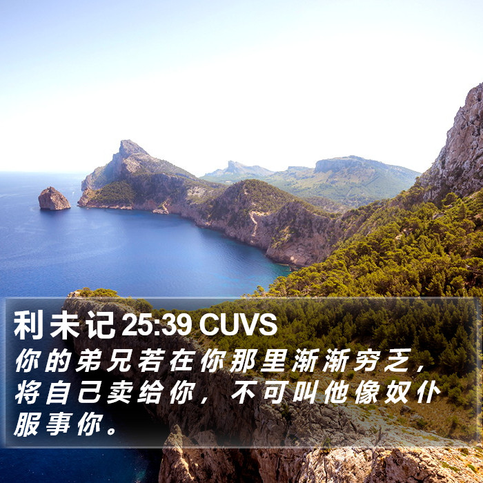 利 未 记 25:39 CUVS Bible Study