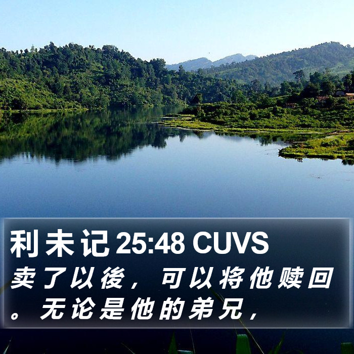 利 未 记 25:48 CUVS Bible Study