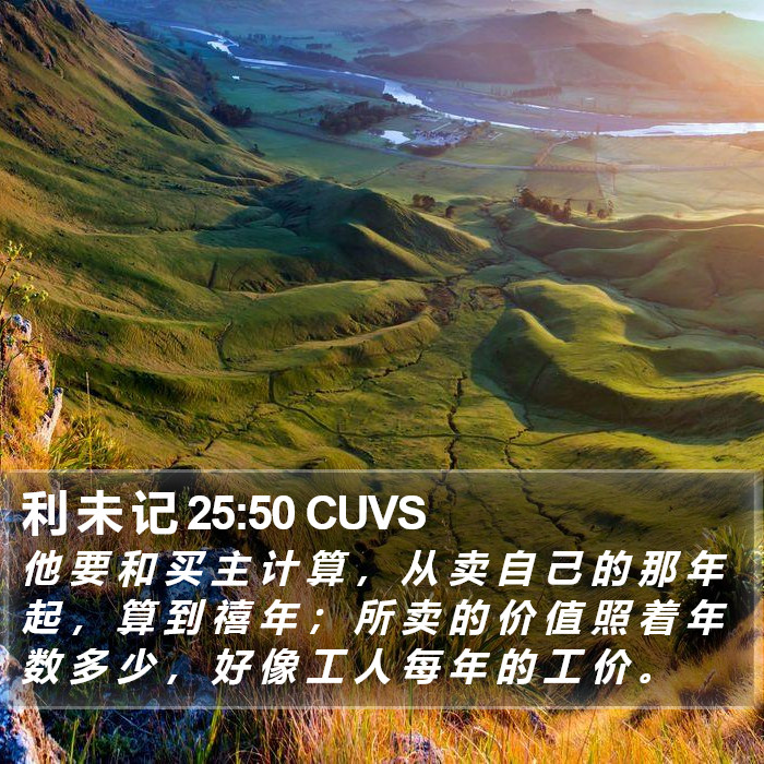 利 未 记 25:50 CUVS Bible Study