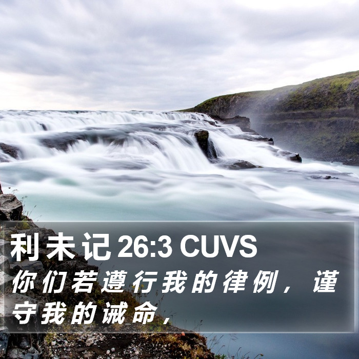 利 未 记 26:3 CUVS Bible Study