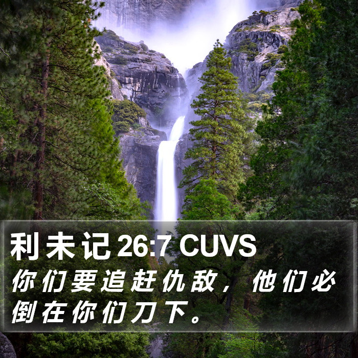 利 未 记 26:7 CUVS Bible Study