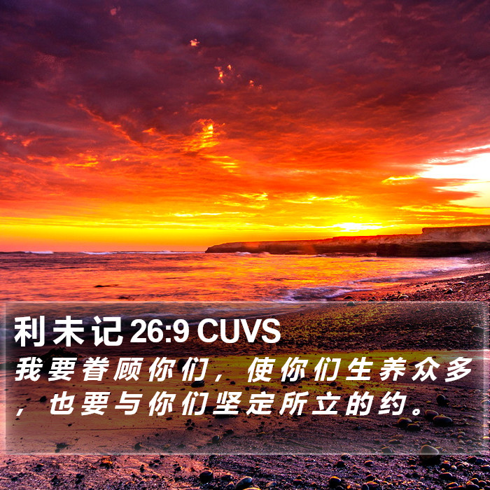 利 未 记 26:9 CUVS Bible Study