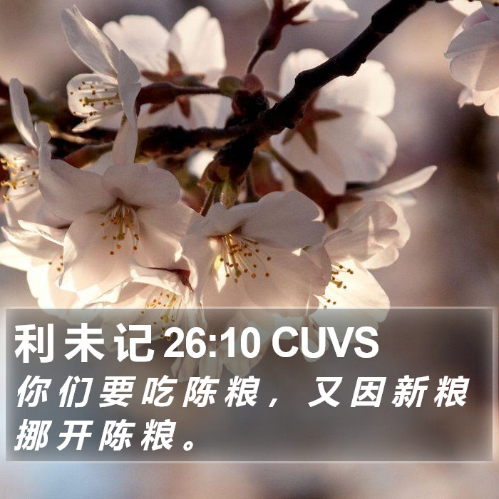 利 未 记 26:10 CUVS Bible Study