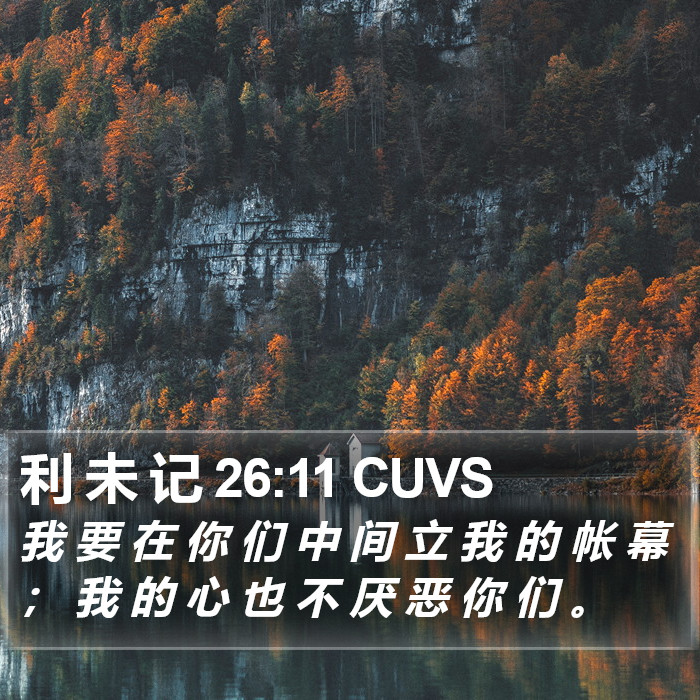 利 未 记 26:11 CUVS Bible Study