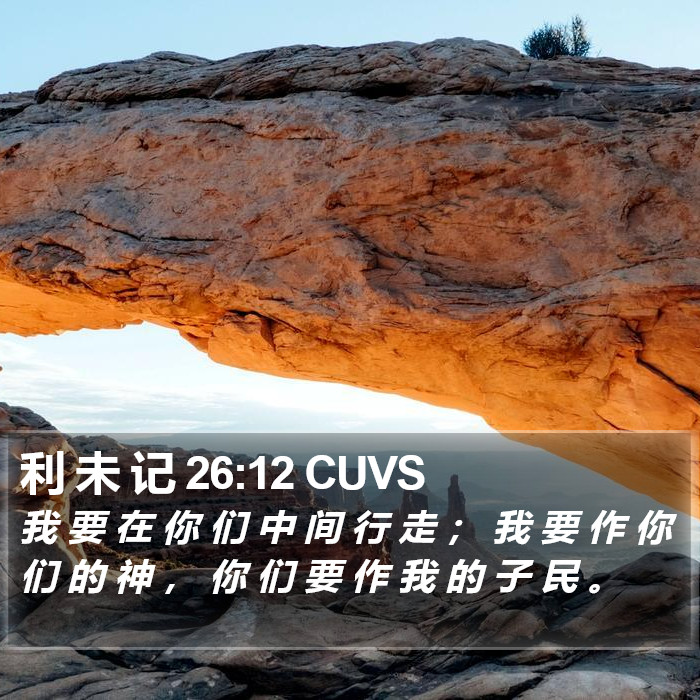 利 未 记 26:12 CUVS Bible Study