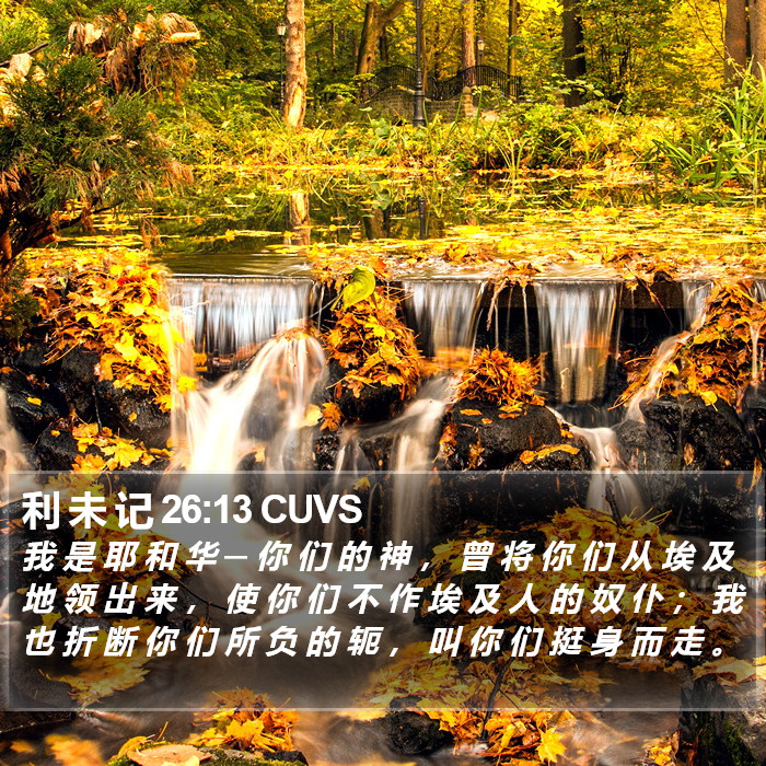 利 未 记 26:13 CUVS Bible Study