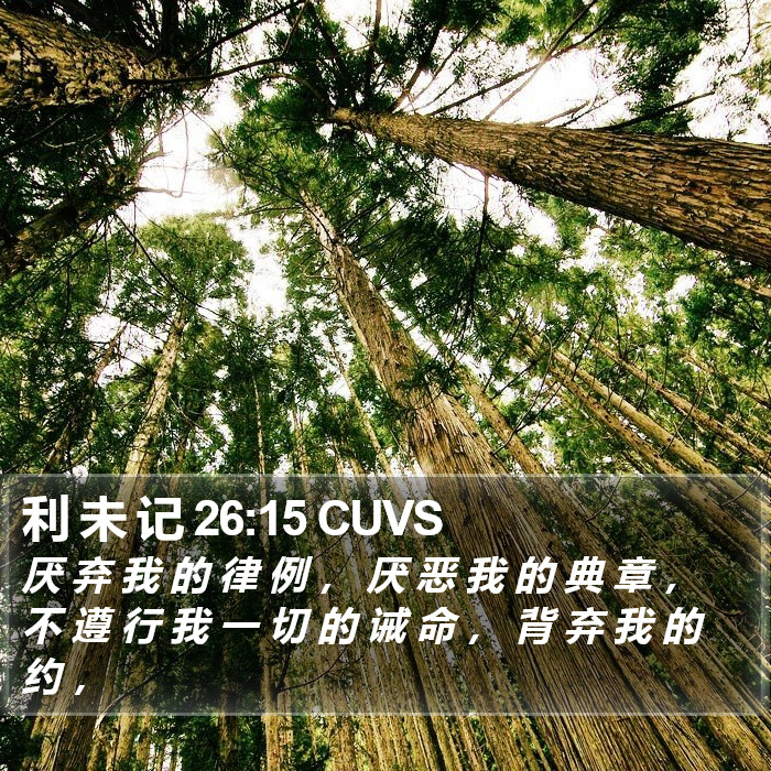 利 未 记 26:15 CUVS Bible Study