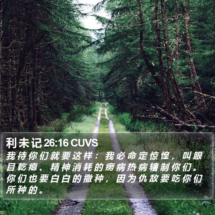 利 未 记 26:16 CUVS Bible Study