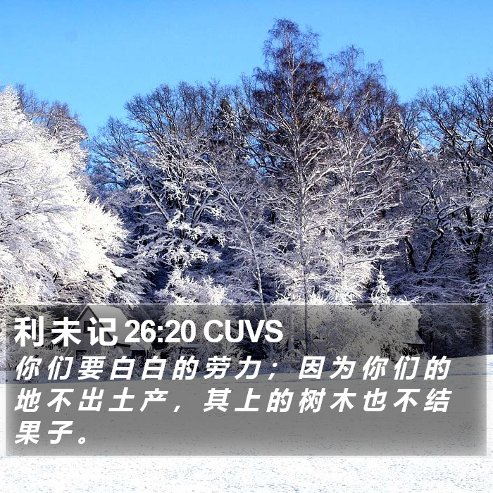 利 未 记 26:20 CUVS Bible Study