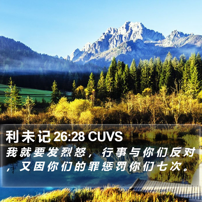 利 未 记 26:28 CUVS Bible Study