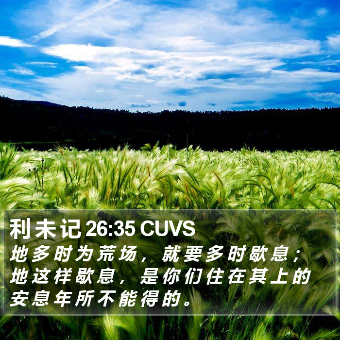 利 未 记 26:35 CUVS Bible Study