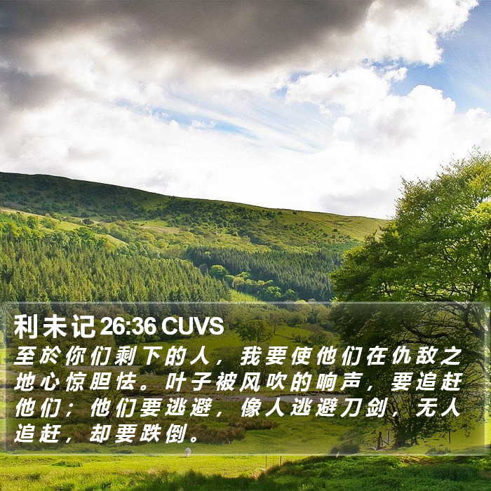 利 未 记 26:36 CUVS Bible Study