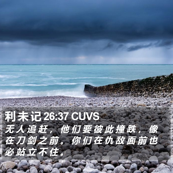 利 未 记 26:37 CUVS Bible Study