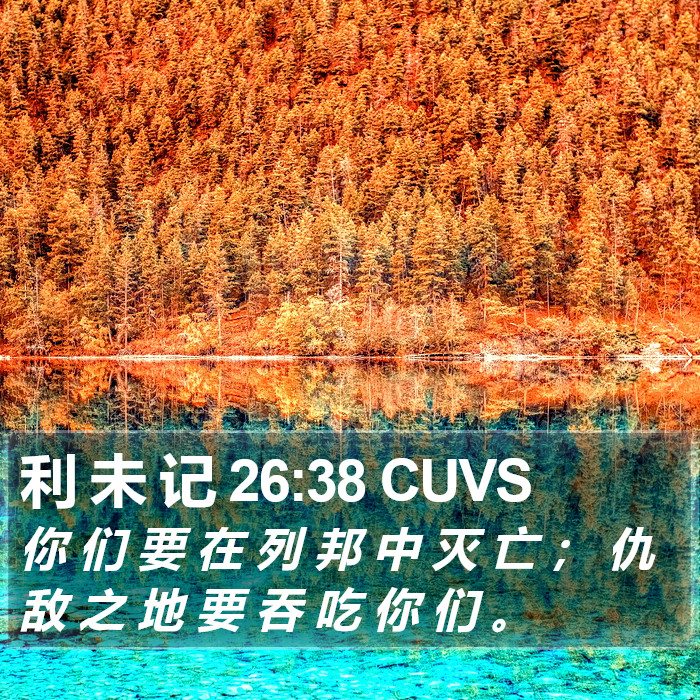 利 未 记 26:38 CUVS Bible Study