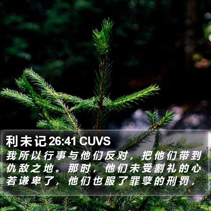 利 未 记 26:41 CUVS Bible Study