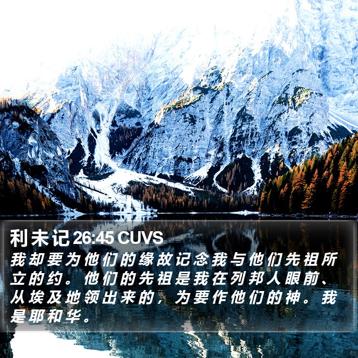 利 未 记 26:45 CUVS Bible Study